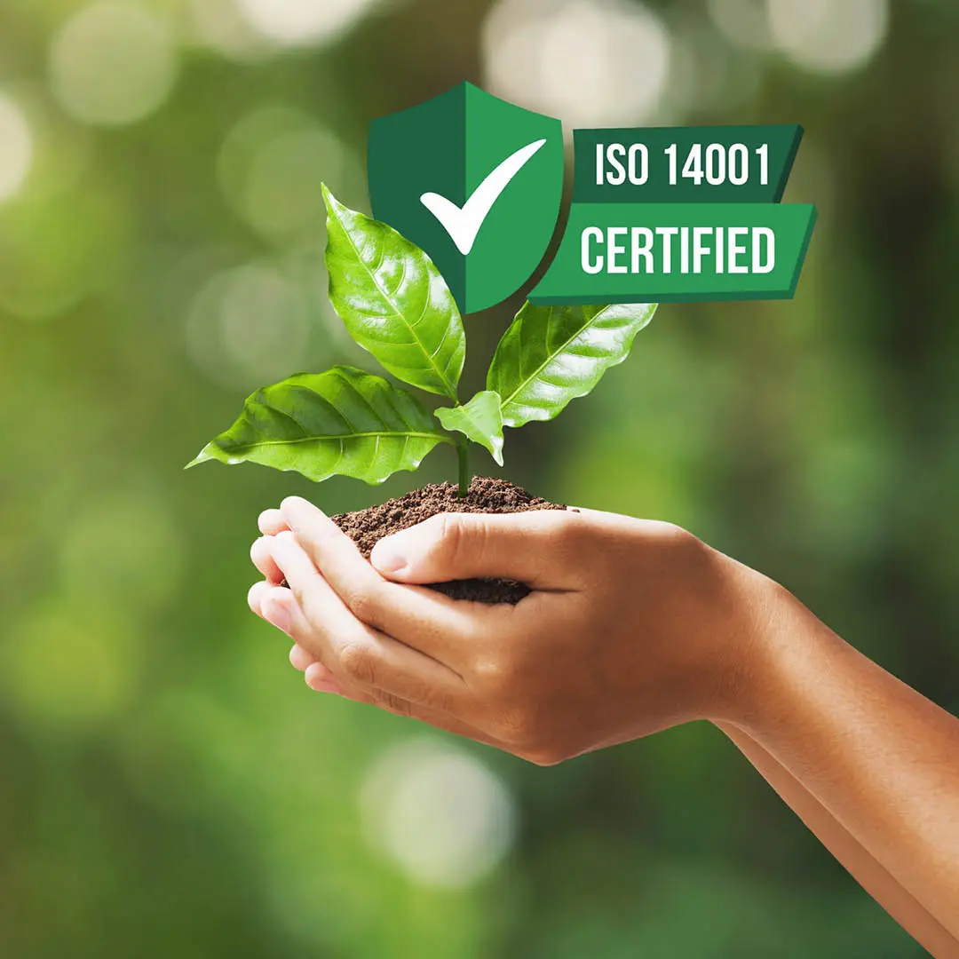 Our contribution to environmental protection and climate action