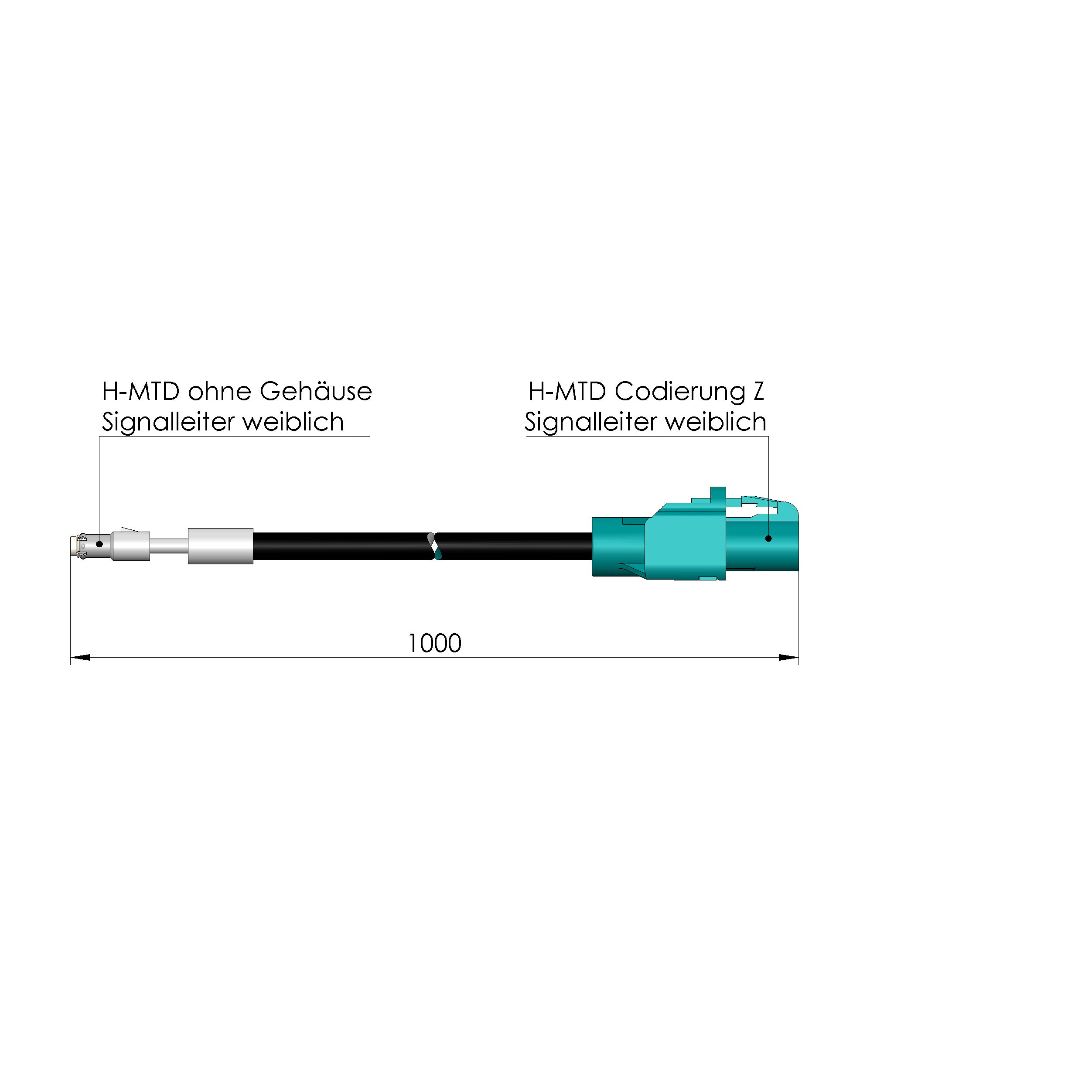 SE-STPGG-100HMTDFG100HMTDFGZ